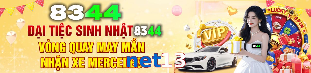net13