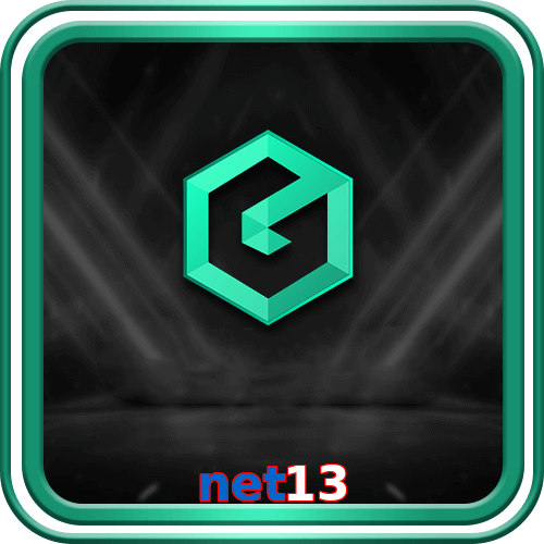 net13